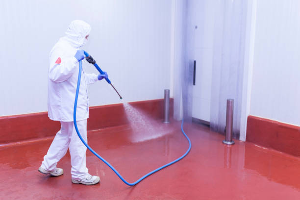 Trusted Shavertown, PA Pressure Washing Services Experts